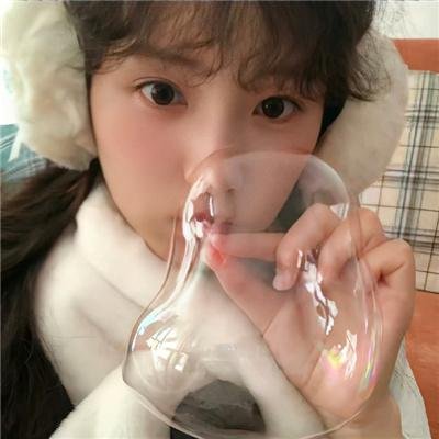 虫图腾